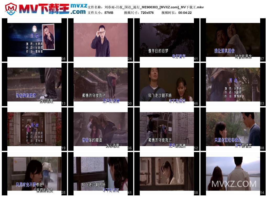 刘春雨-月夜_国语_流行_ME900303